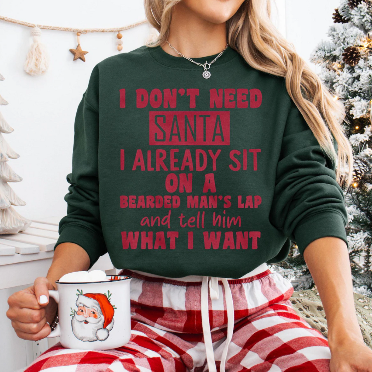 I DON'T NEED SANTA